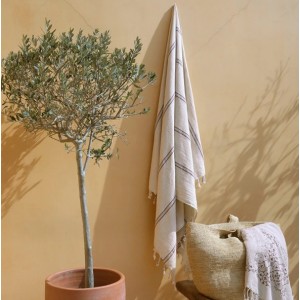 BULDANS SMYRNA PEŞTAMAL ÇELİK GRİ / kAHVE 90x170